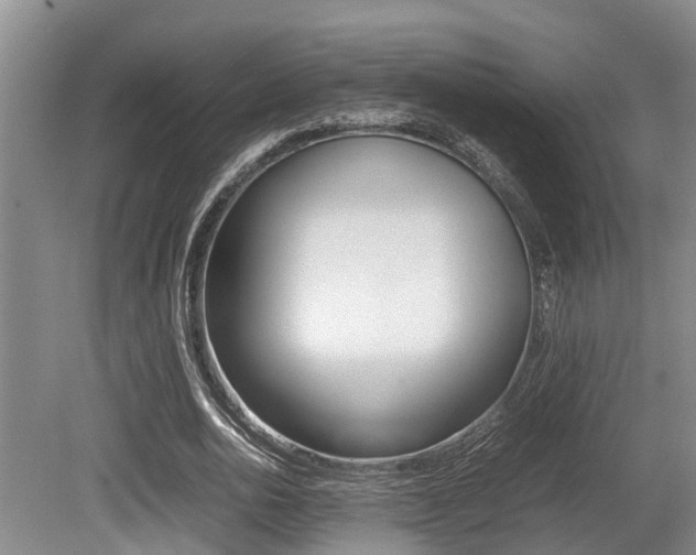 X0000079300726200611170828