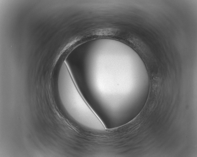 X0000079300727200611170828