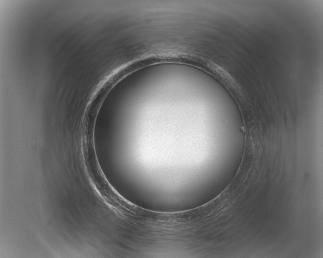 X0000079300728200611170828
