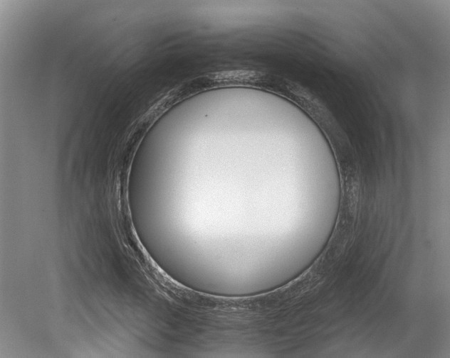 X0000079300729200611170828