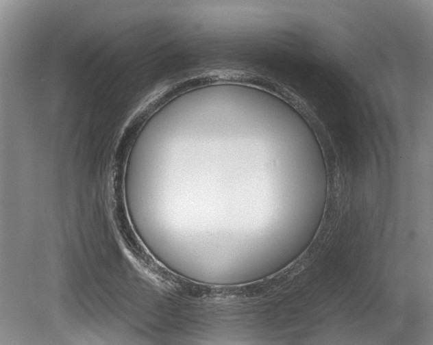 X0000079300730200611170828