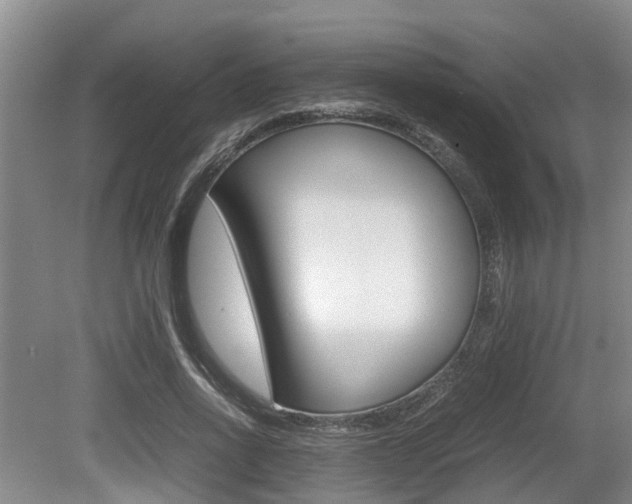 X0000079300734200611170828