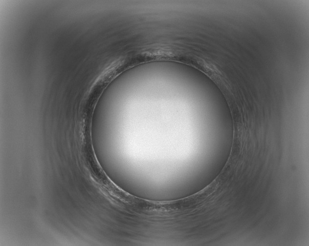 X0000079300735200611170828