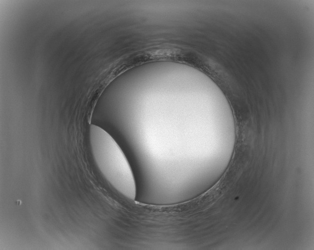 X0000079300737200611170828