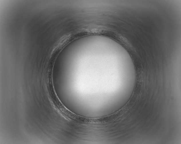 X0000079300738200611170828