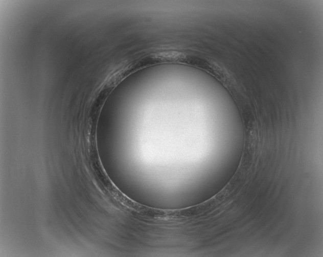 X0000079300739200611170828