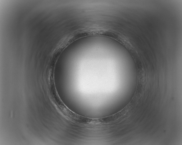 X0000079300742200611170828