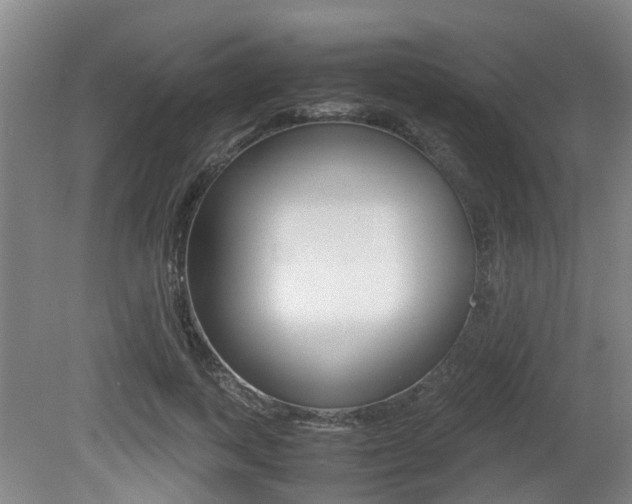 X0000079300743200611170828