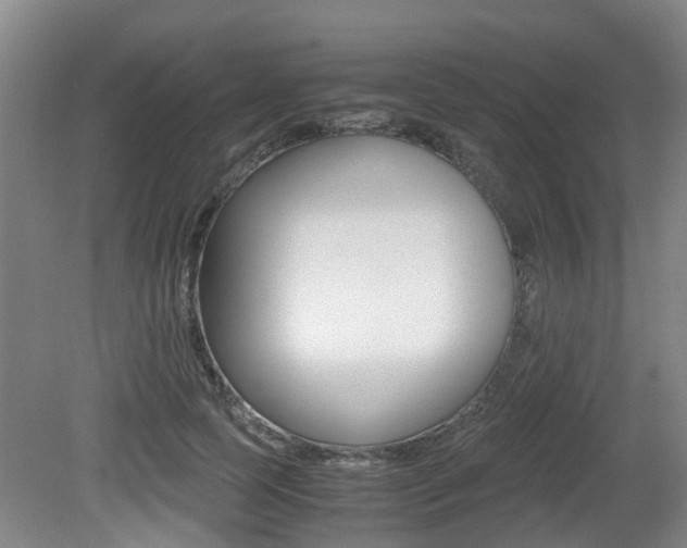 X0000079300745200611170828