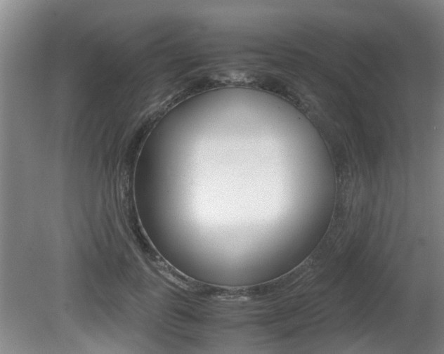 X0000079300747200611170828