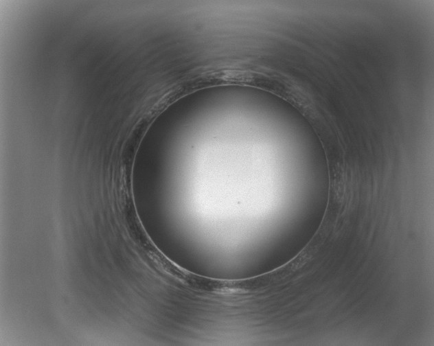 X0000079300748200611170828