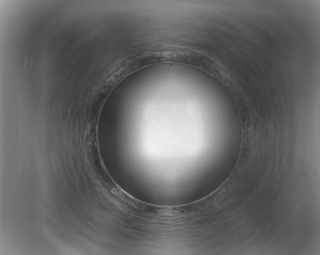 X0000079300750200611170828