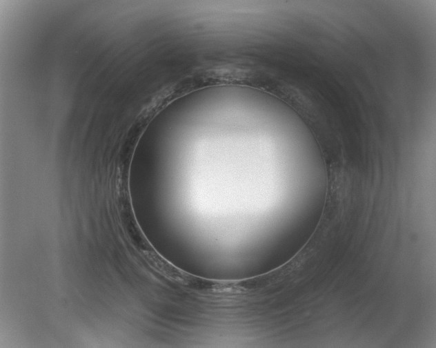 X0000079300752200611170828