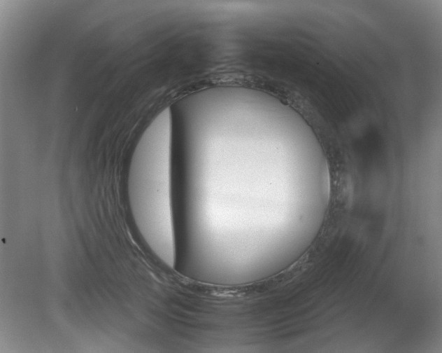 X0000079300753200611170828