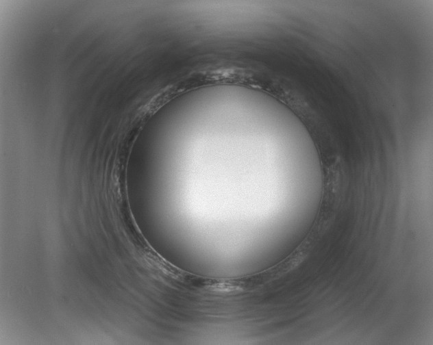 X0000079300754200611170828