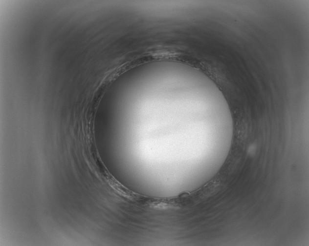 X0000079300755200611170829