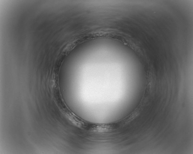 X0000079300758200611170829