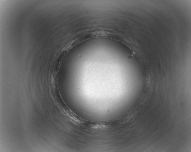 X0000079300759200611170829