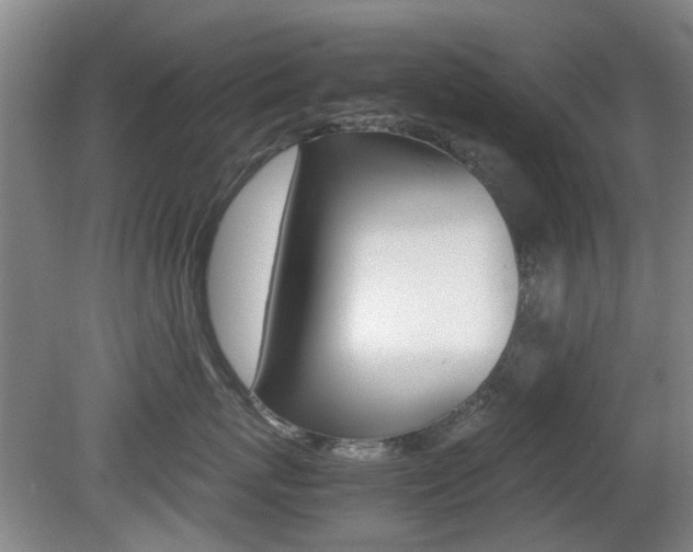 X0000079300767200611170829