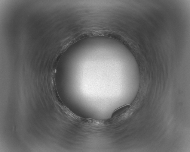 X0000079300768200611170829