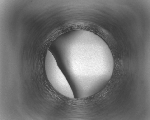 X0000079300774200611170828