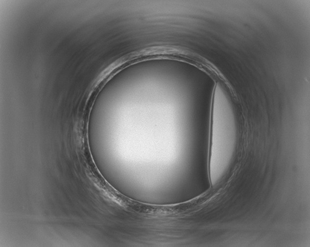 X0000079300786200611170828