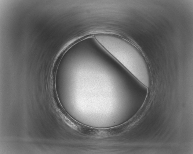 X0000079300787200611170828