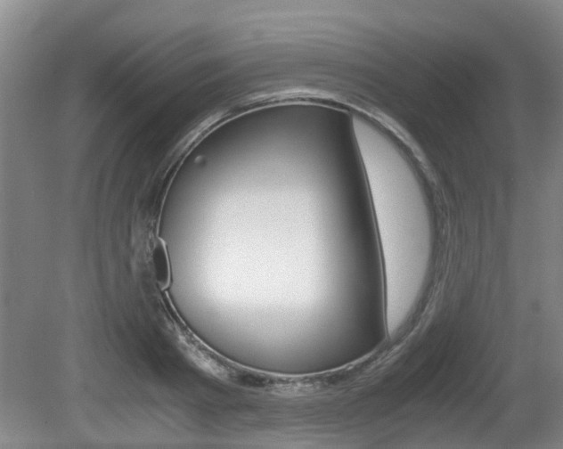 X0000079300793200611170828