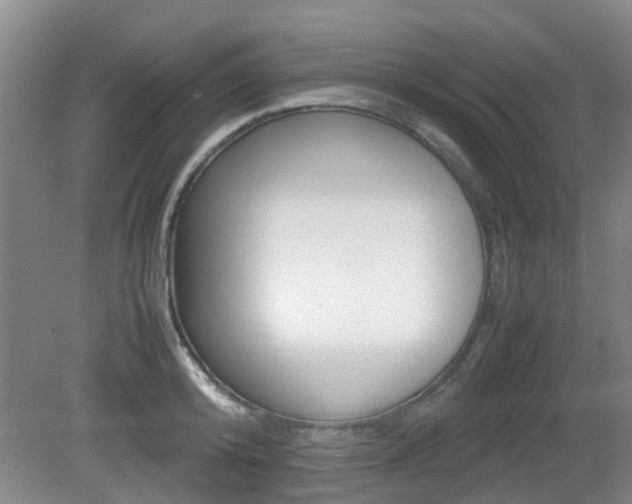 X0000079300800200611170827