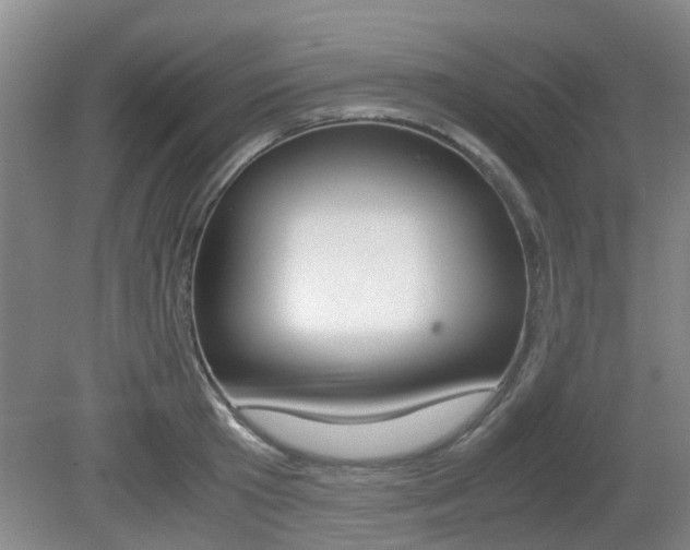X0000079300801200611170827