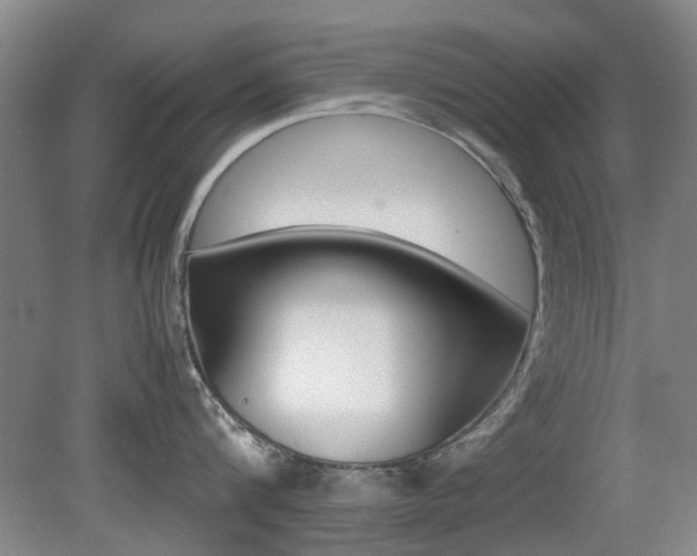 X0000079300816200611170827