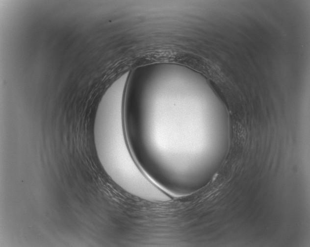 X0000079300818200611170826