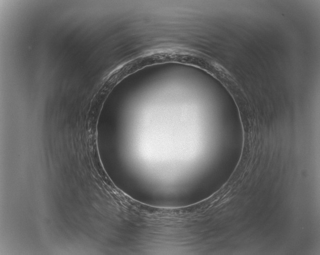 X0000079300822200611170826