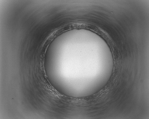 X0000079300823200611170826