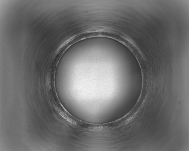 X0000079300826200611170826
