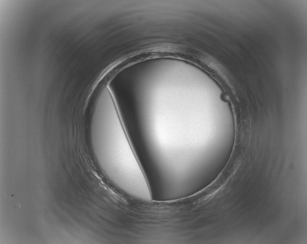 X0000079300829200611170827