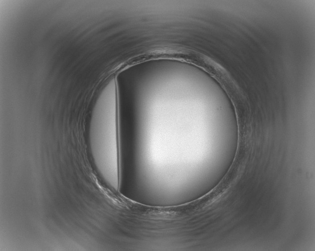 X0000079300833200611170827