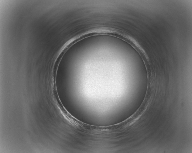 X0000079300837200611170827