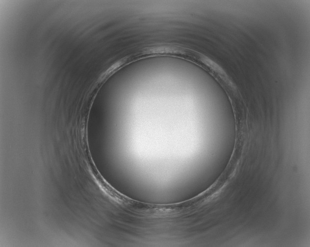 X0000079300841200611170827