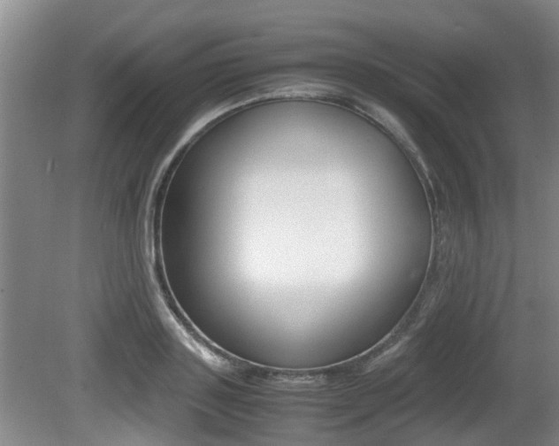 X0000079300843200611170827