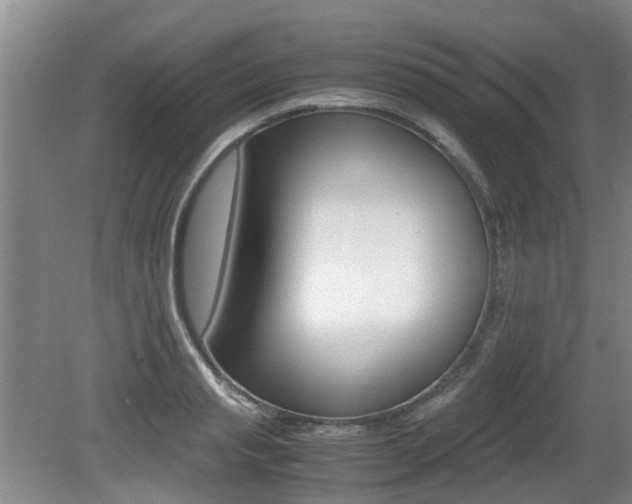 X0000079300845200611170827
