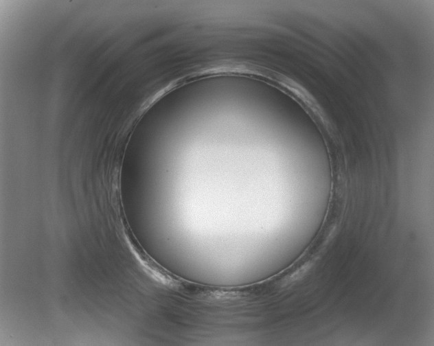 X0000079300849200611170827