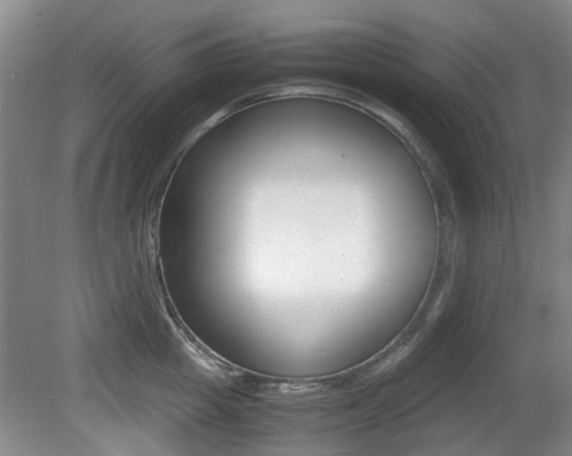 X0000079300857200611170827