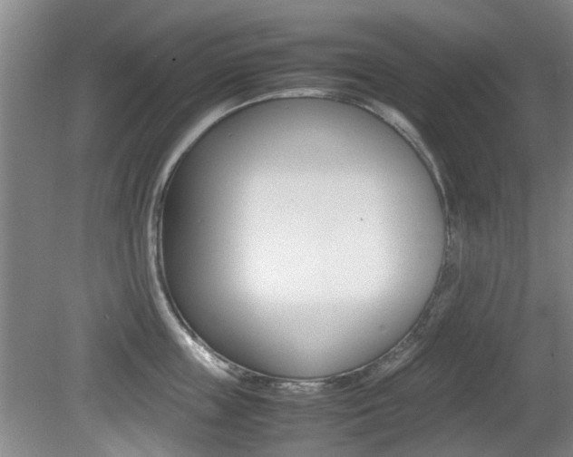 X0000079300859200611170827