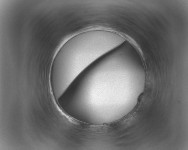X0000079300863200611170827