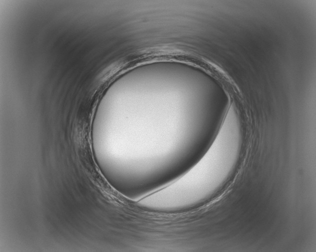 X0000079300873200611170826