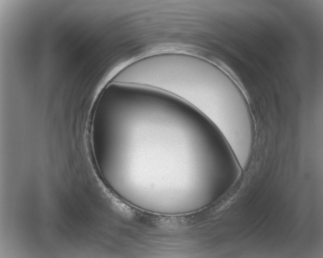 X0000079300901200611170826