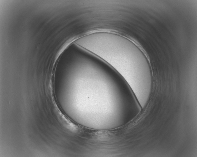 X0000079300906200611170826