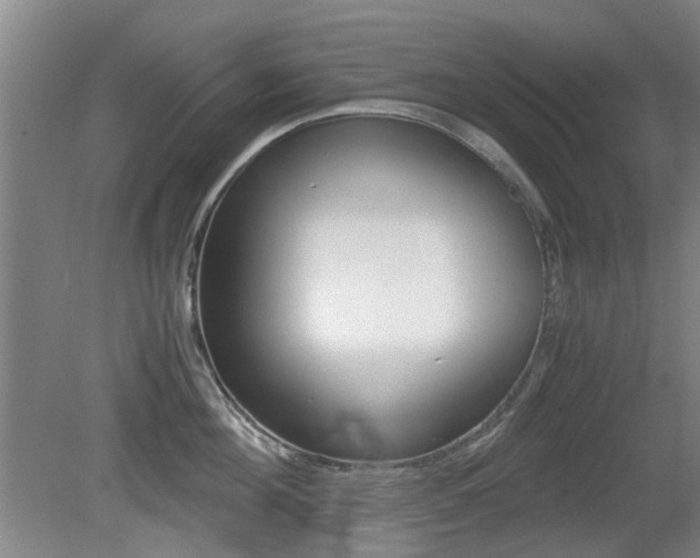 X0000079300908200611170826