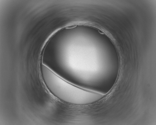 X0000079300912200611170826